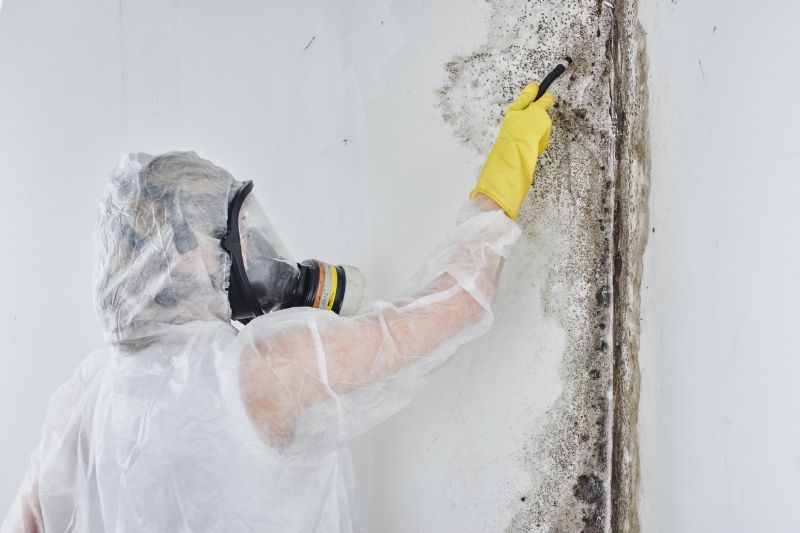 Mold Abatement in Arlington, TX