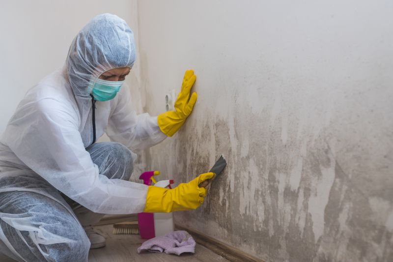 Basement Mold Remediation in Jupiter, FL