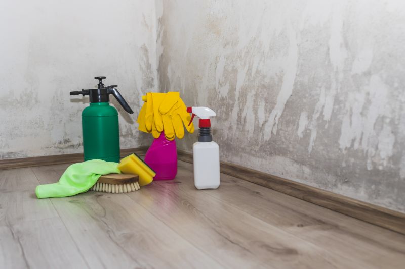 Basement Mold Removal in Jupiter, FL