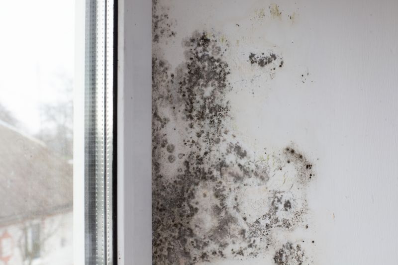 Basement Mold Removal in Dallas, TX