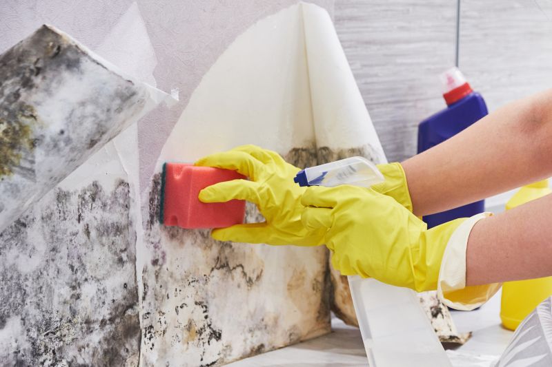Garage Mold Remediation in Bergen County, NJ