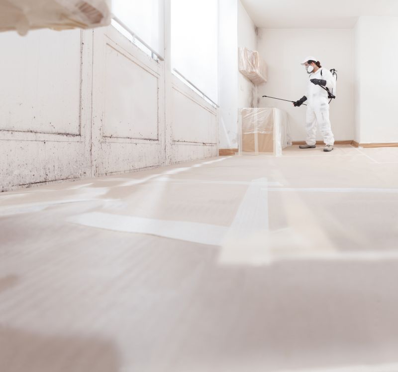 Mold Abatement Service in Dallas, TX