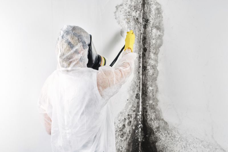 Mold Mitigation Service in Essex County, NJ
