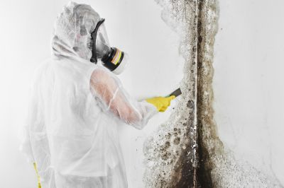 Mold Removal in Fort Worth, TX