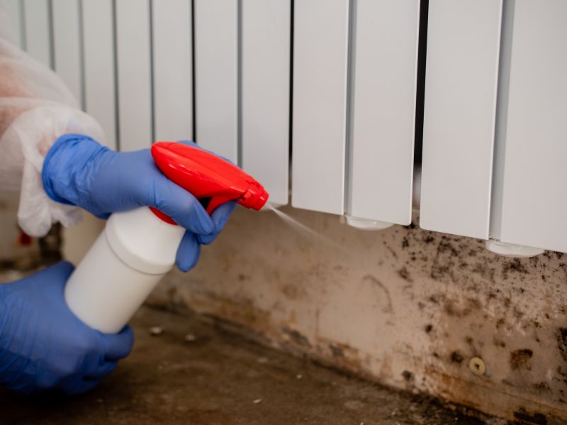 Mold Treatment Service in Bergen County, NJ